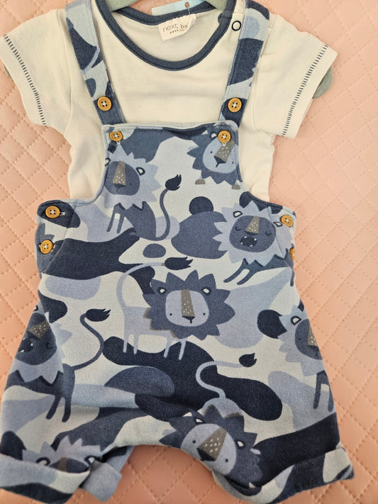 Boys 3-6 Months 2 Piece Blue Lion Print Outfit