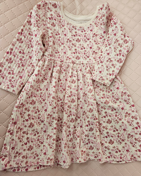 Girls 9-12 Months Pink floral long sleeve dress