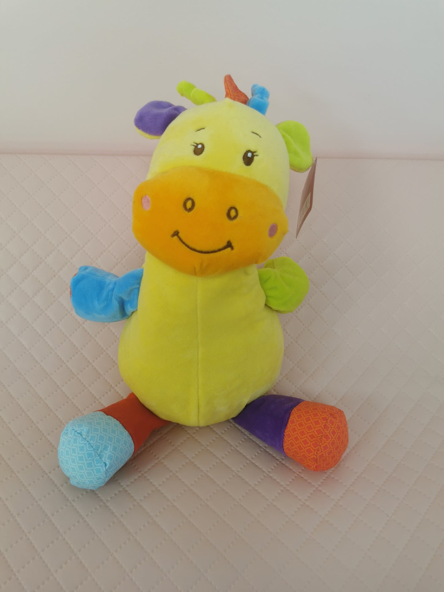 Colourful Giraffe with tagzies