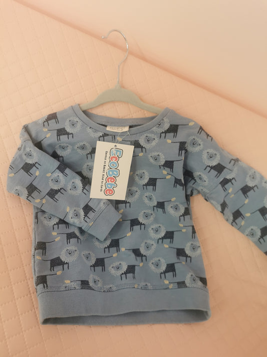 Boys 12-18 Pre-Loved Next Lion Jumper